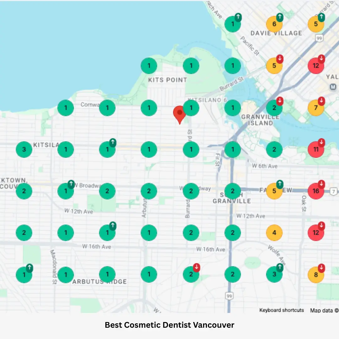 Pro Web Services Dental Seo Case Study local ranking map