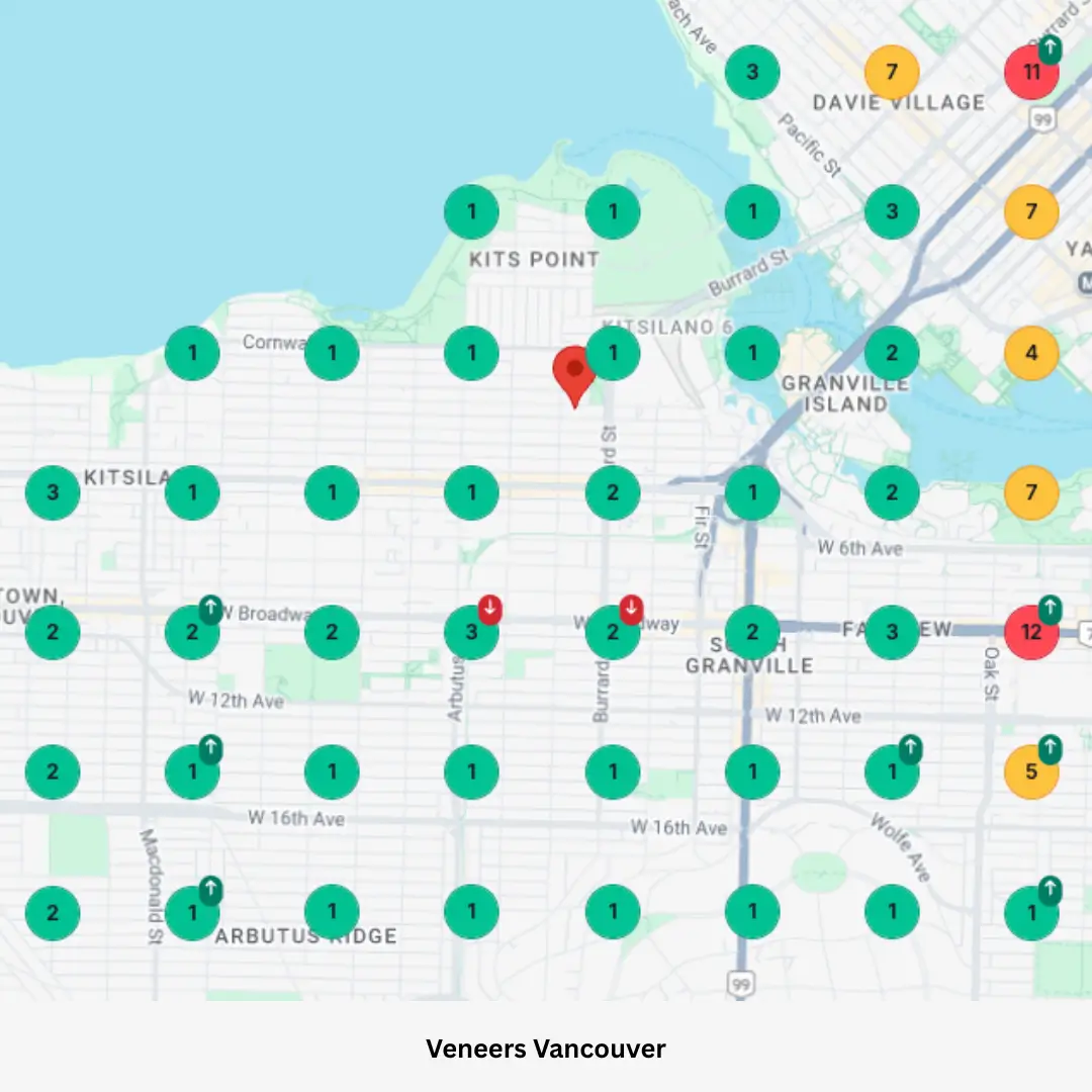 Pro Web Services Dental Seo Case Study local ranking map