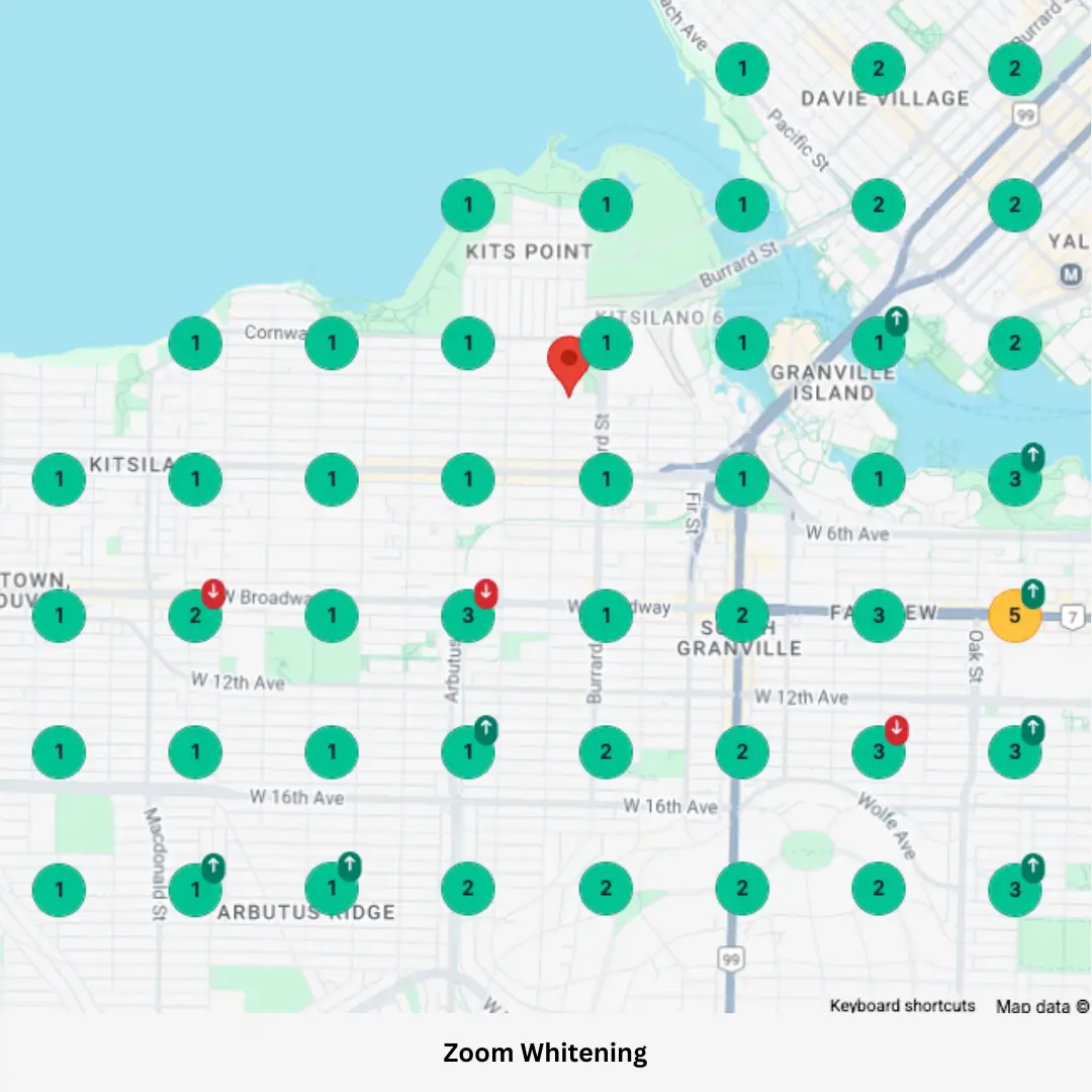 Pro Web Services Dental Seo Case Study local ranking map